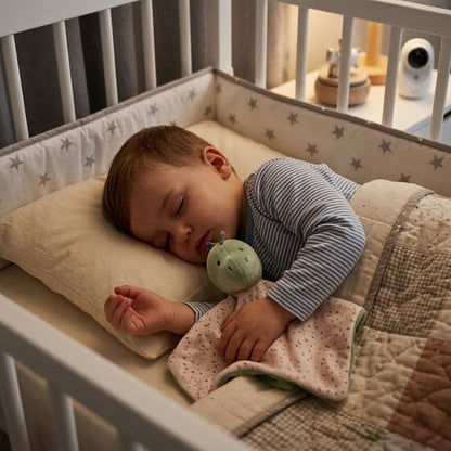 bebe-dort-paisiblement-avec-doudou-dinosaure